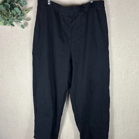 Eileen Fisher > Black Stretch Work Pants 3X - Picture 4 of 8